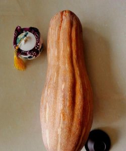 ​南瓜和倭瓜，金南瓜和板栗南瓜的区别？