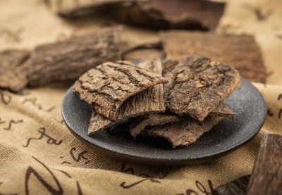 ​杜仲怎么吃补肾(杜仲怎么吃补肾最好)