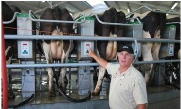 公的奶牛能挤奶吗