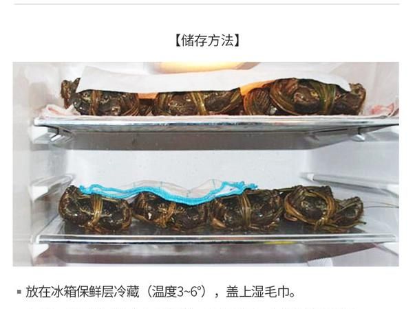 大闸蟹怎么保存才能活得久