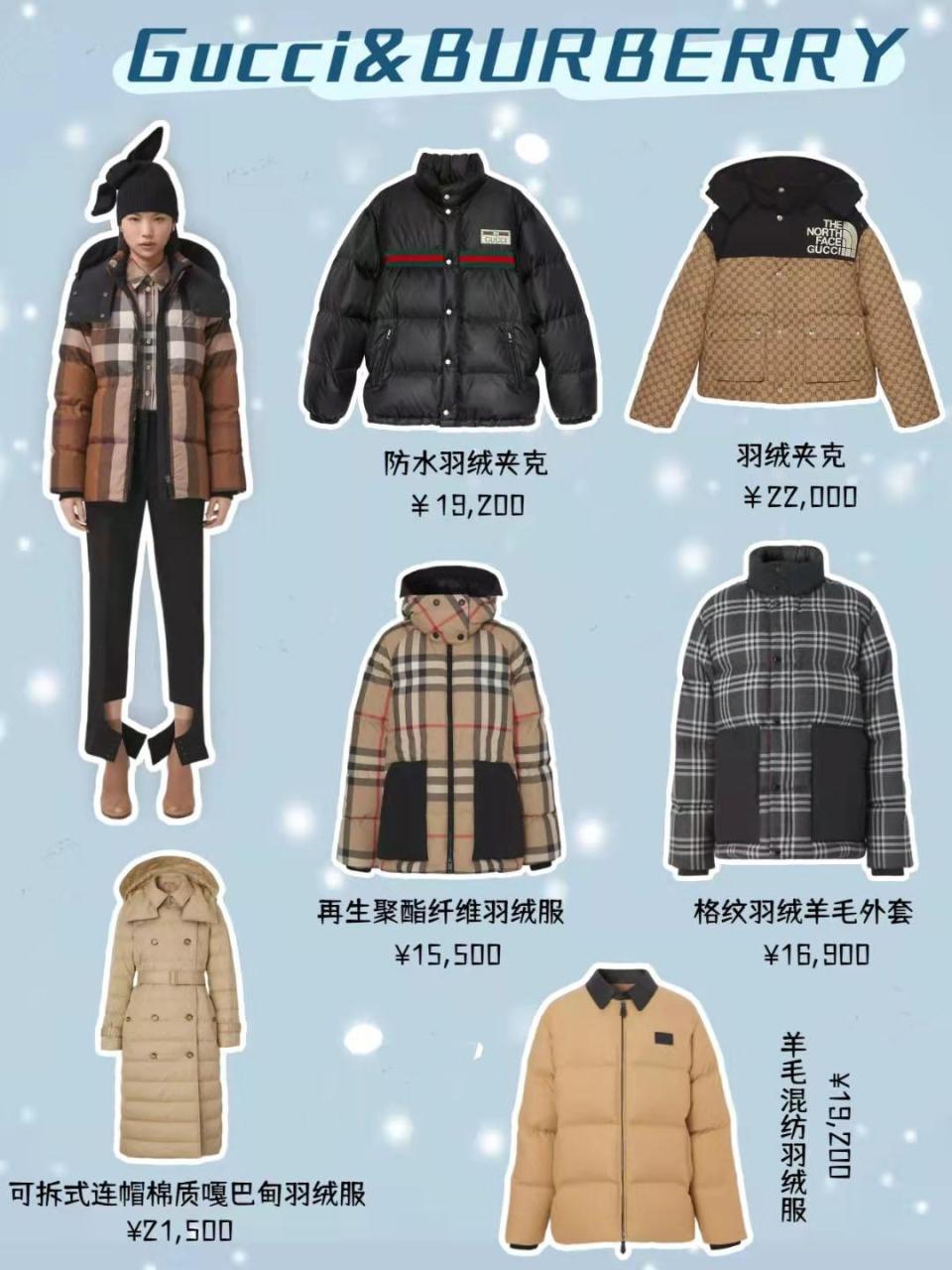 女装羽绒服品牌有哪些牌子（6个羽绒服大牌推荐）