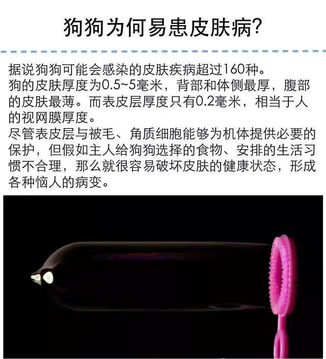 掉毛！还会发臭！狗狗的皮肤病图文大全
