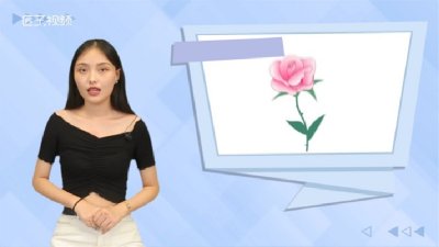 ​粉色玫瑰花语