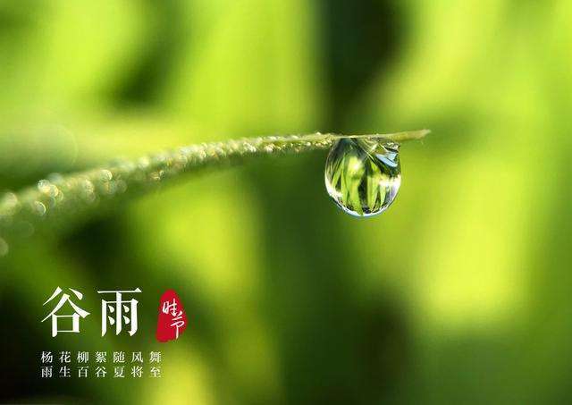 谷雨是什么意思啊（谷雨的含义及来历图解）