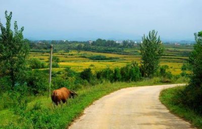 ​九寨沟哪些景点值得一看最不容错过