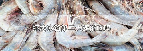 煮熟的虾可不可以隔夜吃