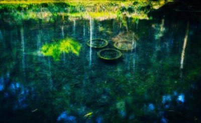 ​58同城找工作招聘如何在58同城找工作