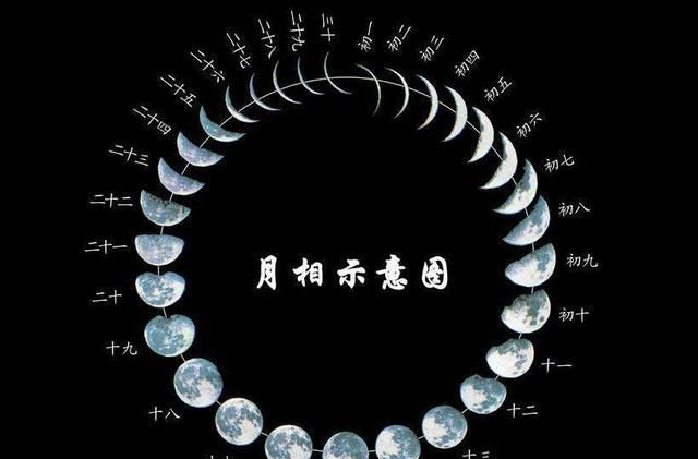 月球自转的周期是多少天