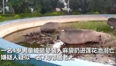 ​男童被砸晕后溺亡现场图曝光！海南4岁男童被杀原因始末最新消息 凶手被抓系邻