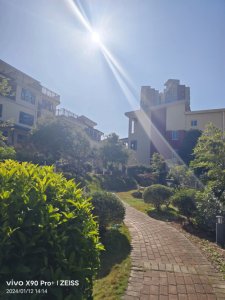 ​散文：该是回家的时候