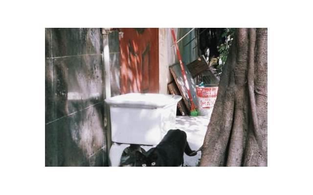 男人舍不得哪种情人（什么样的情人让男人难以割舍）