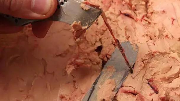 鹅肝家常最正宗的做法（鹅肝原来是这样做的）(8)