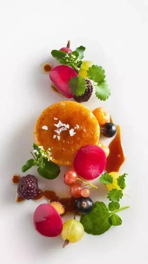 鹅肝家常最正宗的做法（鹅肝原来是这样做的）(1)