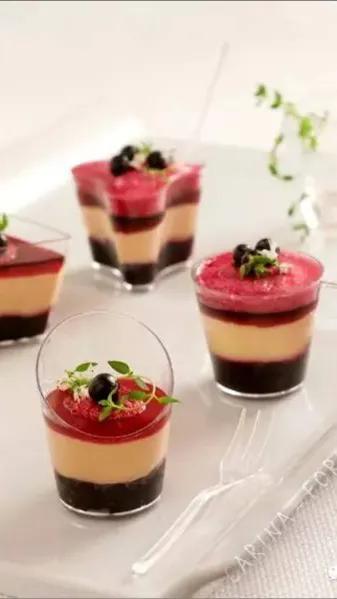 鹅肝家常最正宗的做法（鹅肝原来是这样做的）(17)