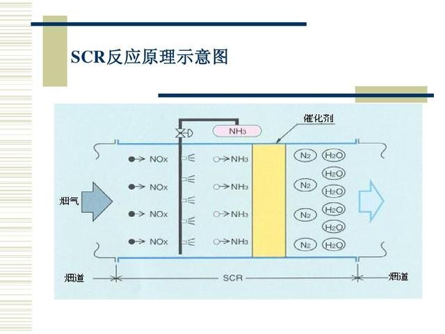 车用尿素液和水有什么区别（车为什么要用尿素）(4)