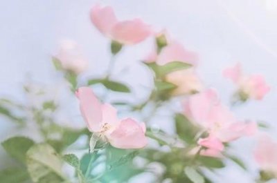 ​氢能源概念股票一览表氢能源龙头股排行榜 前十