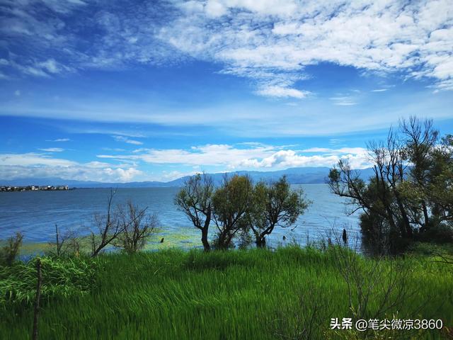 去云南游玩自由行攻略图文版(详尽全面的云南自由行旅行攻略)(2)