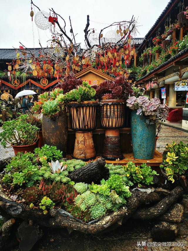 去云南游玩自由行攻略图文版(详尽全面的云南自由行旅行攻略)(31)