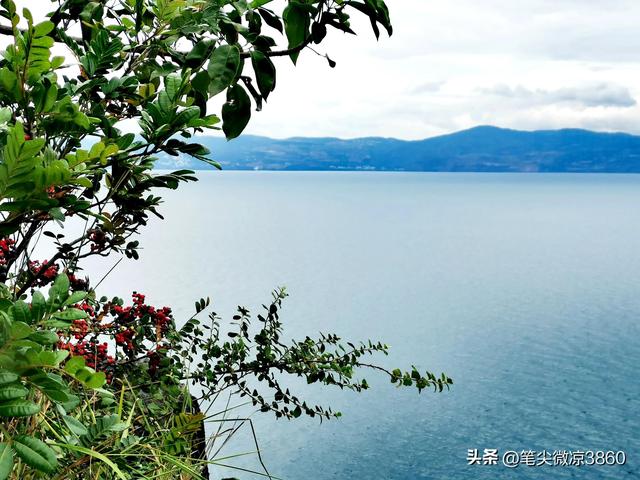 去云南游玩自由行攻略图文版(详尽全面的云南自由行旅行攻略)(20)