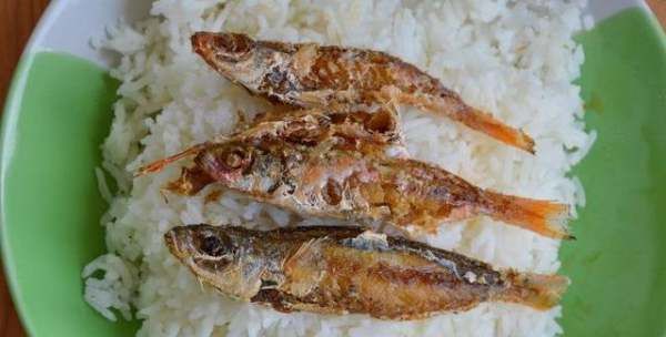 怎么炸鱼好吃又脆嫩,炸鱼怎么炸才酥脆视频图14