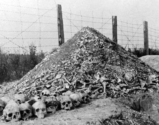 亚美尼亚人为什么被屠杀（如今谁还会记得被屠杀的亚美尼亚人呢）(34)