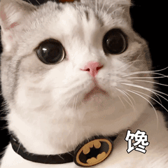 以废为宝的手工作品简单又漂亮(这些变废为宝的法子)(4)