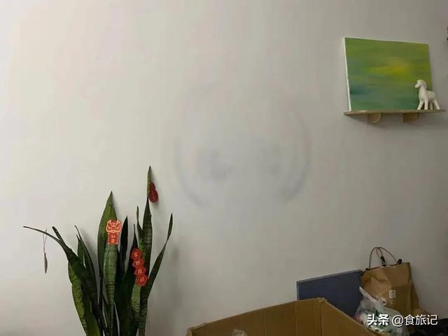 以废为宝的手工作品简单又漂亮(这些变废为宝的法子)(23)