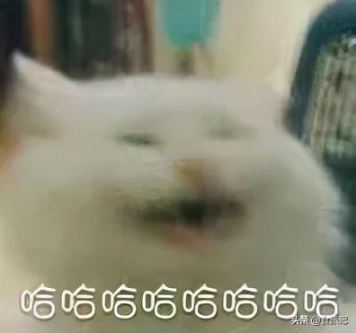 以废为宝的手工作品简单又漂亮(这些变废为宝的法子)(28)