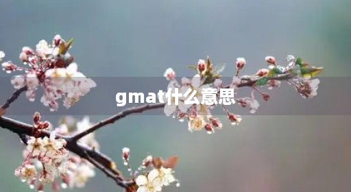 gmat什么意思