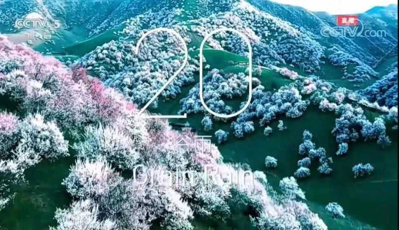 24节气的背诵口诀(4句话记住二十四节气)