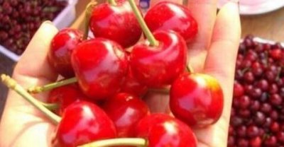 ​樱桃怎么保存时间长（樱桃怎么保存时间长， 樱桃保鲜方法技巧）