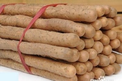 ​如何挑选好品质的山药,挑选山药的方法