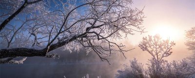 ​大寒是最冷的节气吗