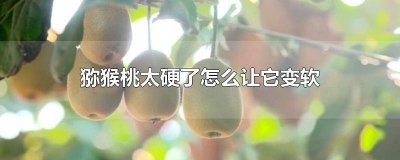 ​猕猴桃是硬的怎么变软 猕猴桃太硬怎么能变软呢