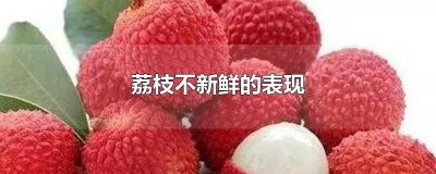 ​荔枝不新鲜的表现 荔枝不新鲜的表现图片