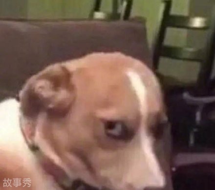 网络图片(侵删)