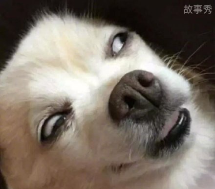 网络图片(侵删)