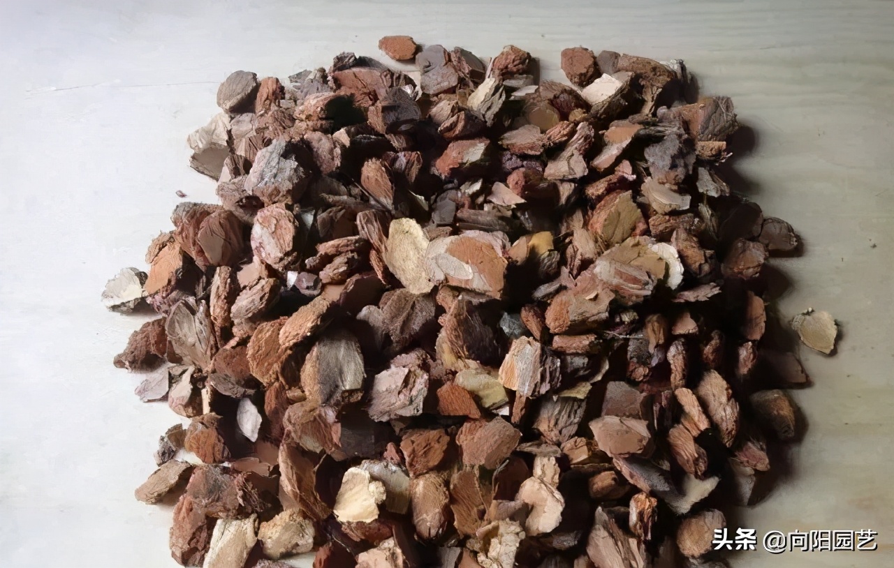 农村自制多肉土的方法（手把手教你制作多肉养殖土）