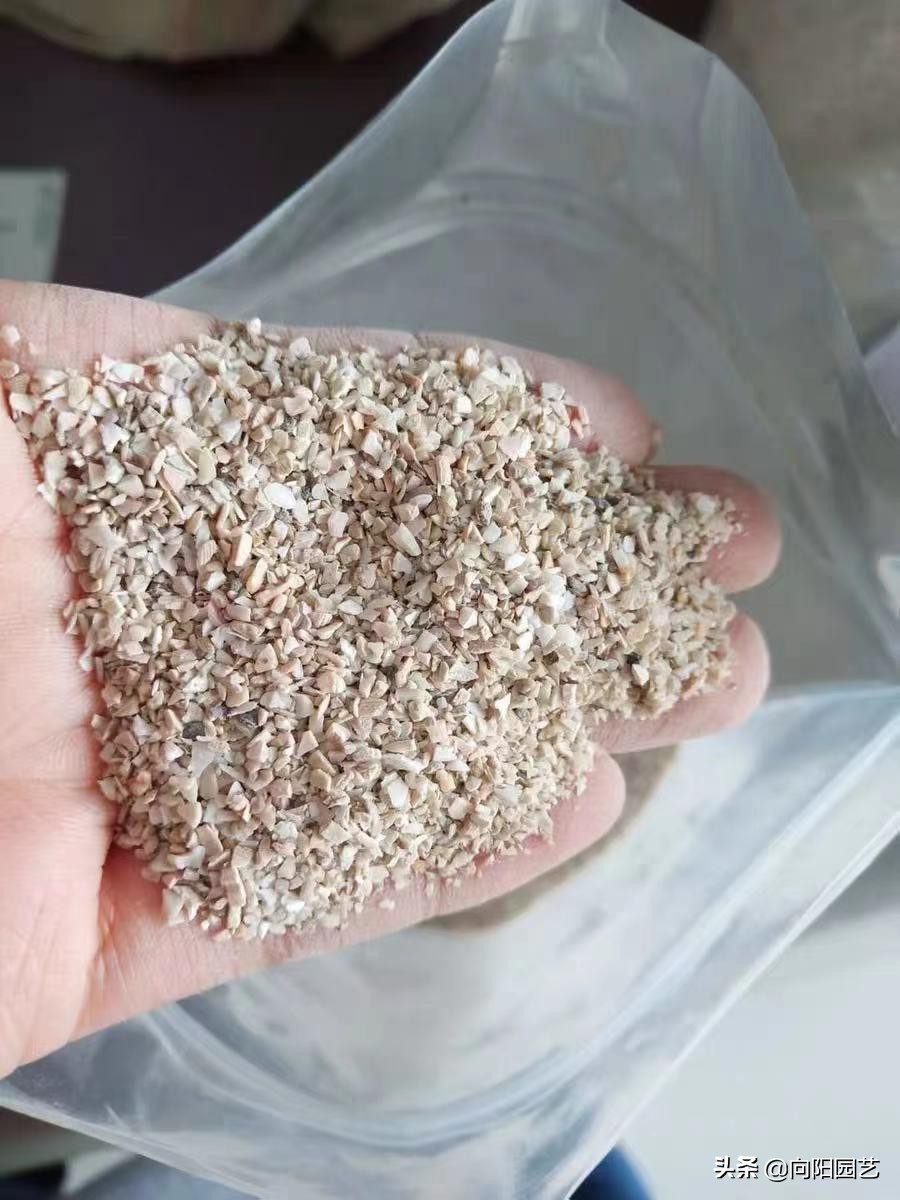 农村自制多肉土的方法（手把手教你制作多肉养殖土）