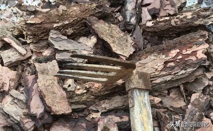 农村自制多肉土的方法（手把手教你制作多肉养殖土）