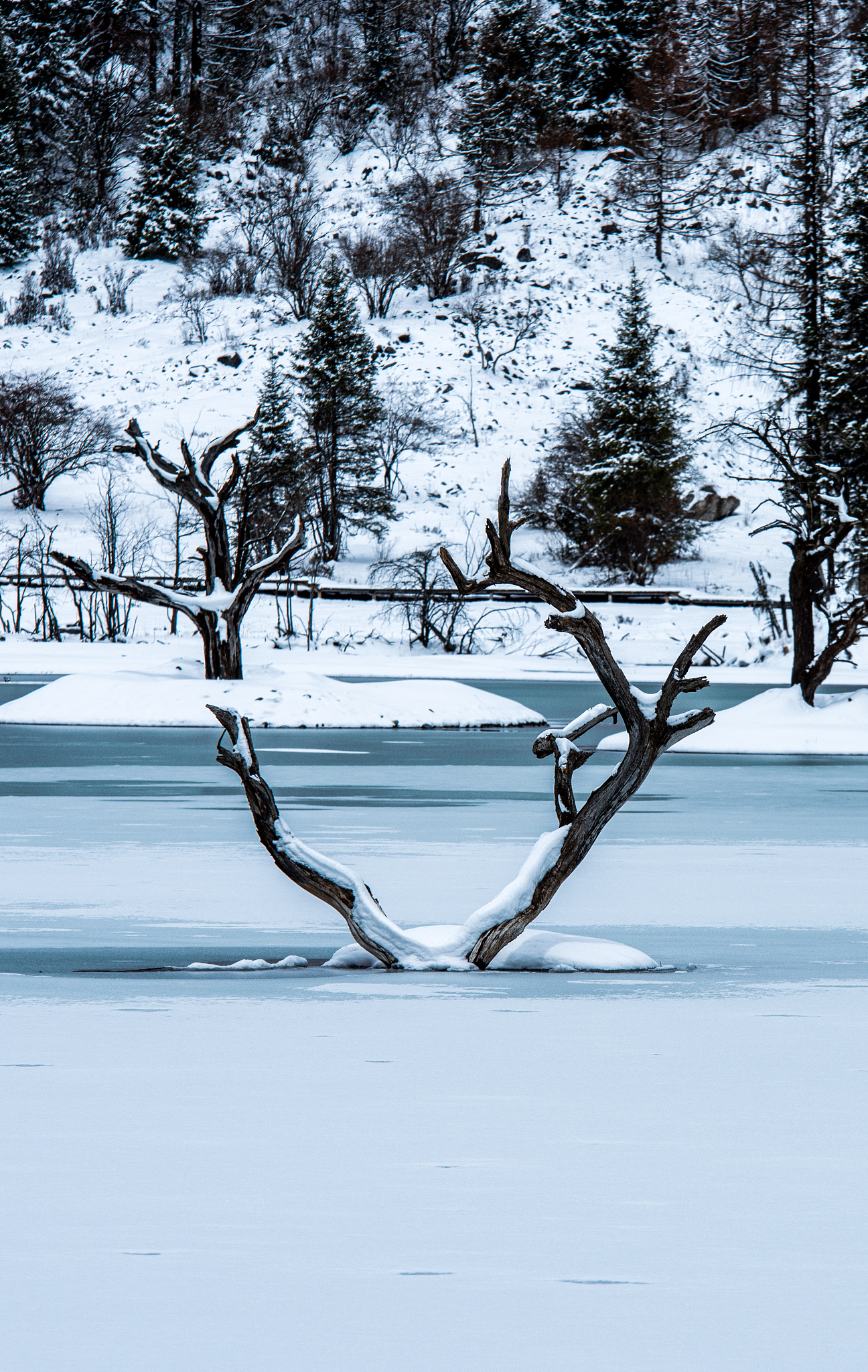 女的开店适合开什么店 一个女人没本钱适合开什么店