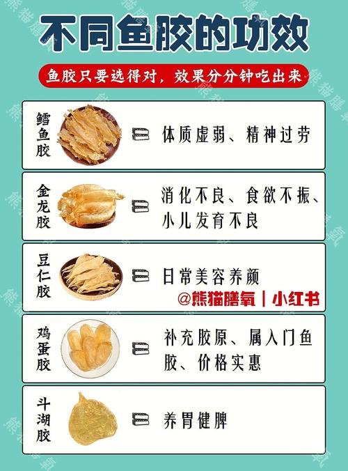 鱼胶的功效与作用（鱼胶的功效与作用简单介绍）