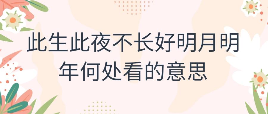 此生此夜不长好明月明年何处看什么意思（此生此夜不长好明月明年何处看出处及译文）