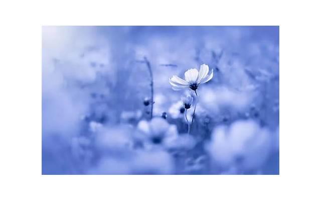 男生朋友对你的观察意味着什么？