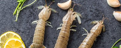 ​蒸皮皮虾还用放盐吗 蒸皮皮虾用放水吗