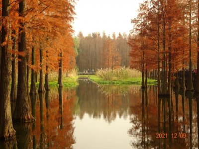 ​美如仙境的青西郊野公园