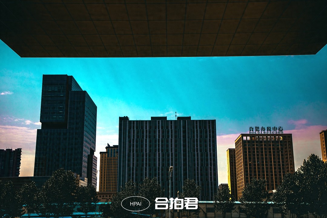 合肥滨湖区的地标：要素大市场！