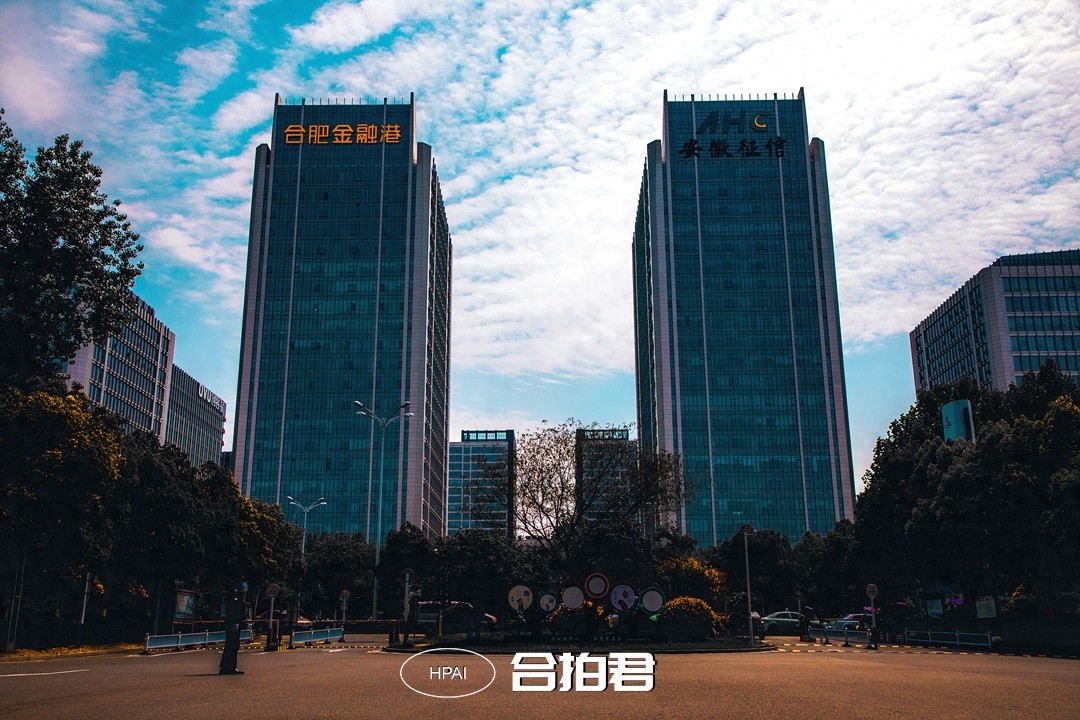 合肥滨湖区的地标：要素大市场！