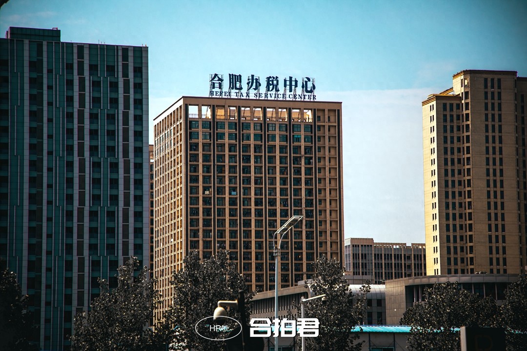 合肥滨湖区的地标：要素大市场！