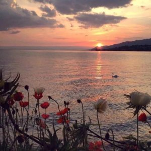 ​强推：2本古言糙汉文，偏冷门高质有肉渣